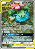 Venusaur & Snivy-GX, card SM229 of the SM Black Star Promos set, 2017, illustrated by Yuka Morii